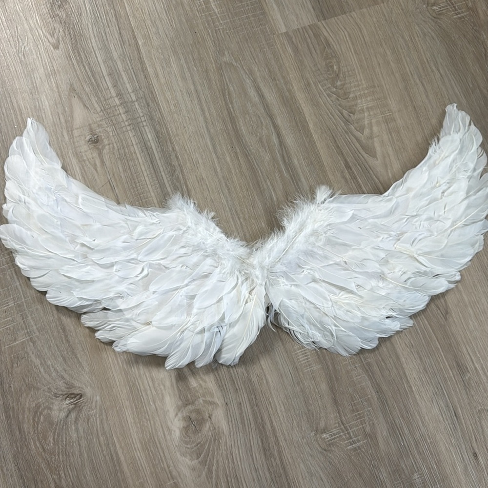 White Feather Angel Wings (small)